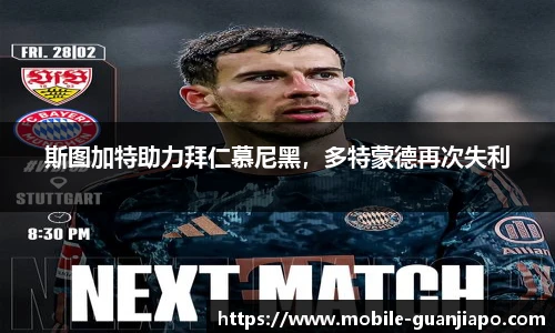 管家婆官网资料